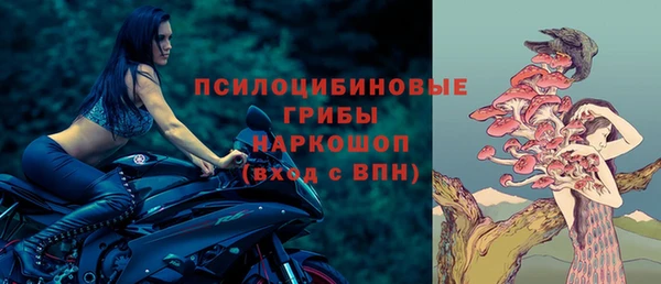 хмурый Медногорск