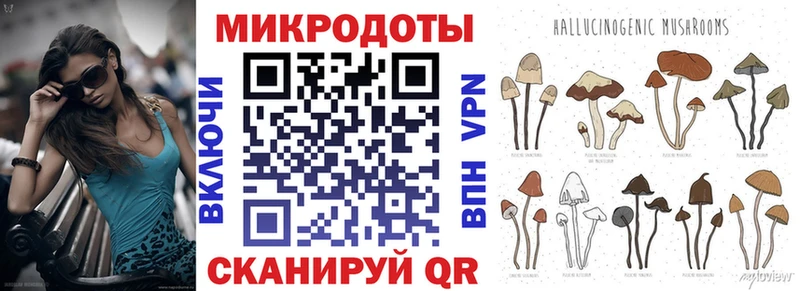 дарк нет формула ОМГ ОМГ Прокопьевск Галлюциногенные грибы Psilocybine cubensis